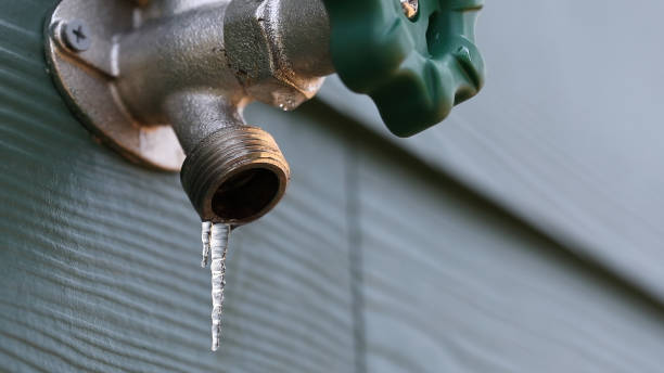 Best Plumbing Services Near Me  in Topeka, IN