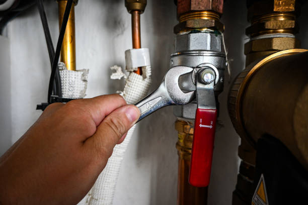 Best Commercial Plumbing Services  in Topeka, IN